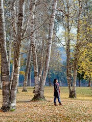 Obraz premium Strolling through a park in autumn.