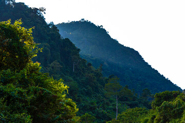 Obraz premium Mountain landscape with tropical jungle rocks in Vang Vieng Laos.