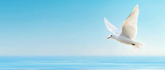 Fototapeta premium A white bird flying over a body of water