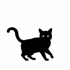 cat silhouette  vector black color silhouette on whit background