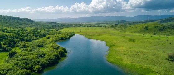 Obraz premium A large body of water surrounded by green grass and trees