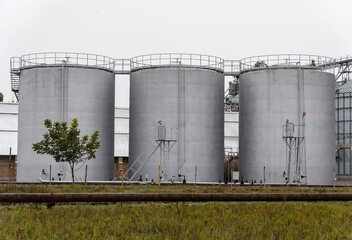 Tall silos stand proudly in an industrial area, storing essential fuel supplies. Lush greenery contrasts the gray cylinders, highlighting coexistence with nature