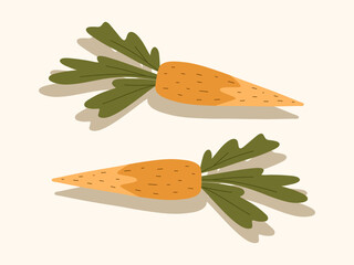Two carrots on a beige background. Vegetables, healthy food, proper nutrition. Vector illustration