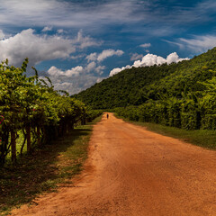 A farmer walking in the distance on a dirt road near Kampot in Cambodia