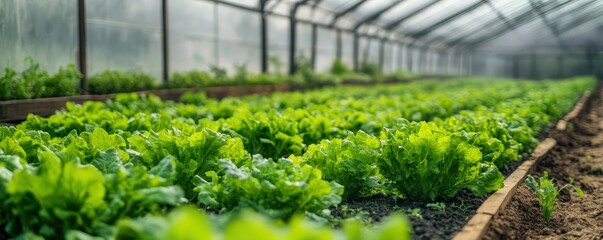 Organic farming research and technology advancements in modern agriculture