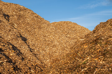 Huge pile of fresh woodchips against the sky.. pile woodchips.