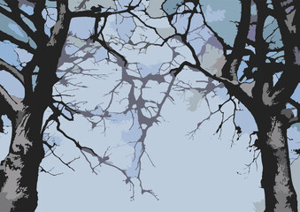 Abstract trees and branches snow covered and blue sky - graphics. Topics: winter illustration, forestry, natural environment, season, weather, nature, wallpaper, computer art