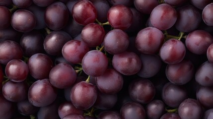 Fototapeta premium Fresh purple grapes clustered together, highlighting their rich color and texture in a vibrant vineyard setting during early autumn