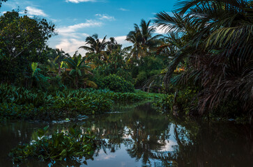 Obraz premium Palm trees, boats and buildings reflecting on the quiet waters of the canals in Can Tho in Vietnam