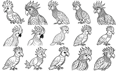 Cockatoo Coloring Page for Adults featuring Detailed Line Art Design, Perfect for Relaxation and Stress Relief, Ideal for Adult Coloring Books or Printable Art Therapy Activities, High-Quality Illustr