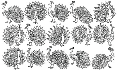 Beautiful Peafowl Coloring Page with Detailed Line Art for Adults, Ideal for Stress Relief and Relaxation, Perfect for Adult Coloring Books or Printable Art Therapy, High-Quality Illustration.
