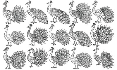Intricate Peafowl Coloring Page for Adults, Designed for Relaxation and Stress Relief, Perfect for Art Therapy Activities or Adult Coloring Books, High-Quality, Unique Line Art for Creative Fun.
