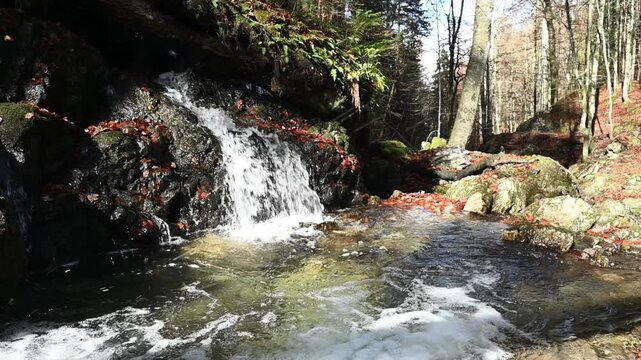 A smaller waterfall and a mountain stream in an autumn forest, slow motion, Josefsthaler Wasserf&auml;lle
