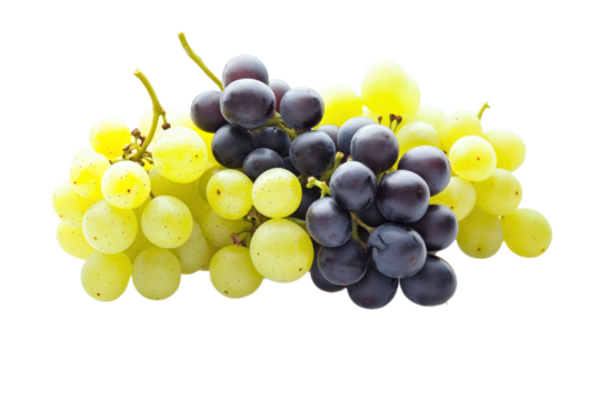 Close-up of isolated grapes in isolated background. Yellow, green, black grapes form triangular cluster. Green base supports yellow, black grapes extending upwards. Vibrant colors stand out on plain