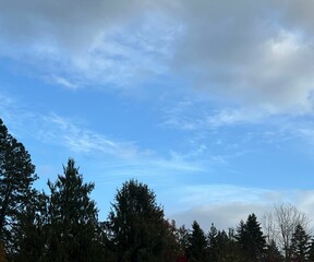 Obraz premium clouds over the forest