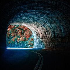 A tunnel to the autumn season 