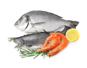 Different fresh sea food with spices isolated on white, top view