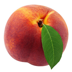 Peach isolated on white background, full depth of field