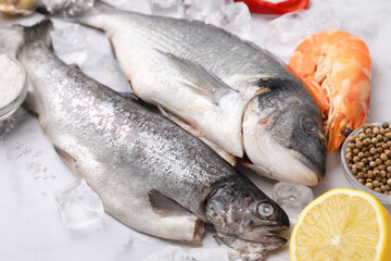 Fresh raw sea food, ice cubes and products on white marble table, closeup