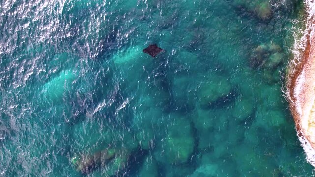 Raie Manta nage dans la mer au travers des rayons du soleil vu du ciel, Indon&eacute;sie, Bali, Asie
