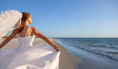 Bride in Wedding Dress at Beach Wedding