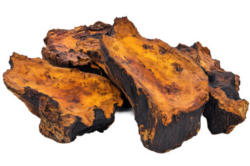 Fototapeta premium Dark tree trunks with unique textures, colors in square formation. Four tree trunks on transparent background. Natural fungal growth on wood. Chaga mushroom, Inonotus obliquus, isolated on transparent