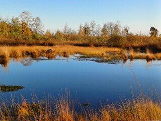 autumn landscape with lake