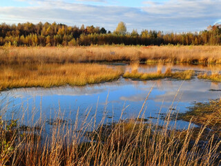 lake in autumn