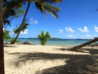 Fototapeta premium Desert Beach