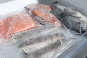 Different frozen fishes in plastic bags on refrigerator shelf, closeup