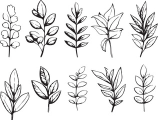 Set plants. Hand drawn vector illustration