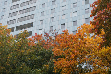 View of a building behind trees during autumn in Solna
