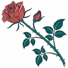 illustration of a rose