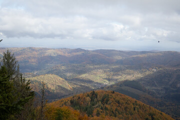 Fototapeta premium Landscape of Carpathian Mountains, Beskid region. The Carpathian Mountains are covered with mixed forest in the evening light. Wonderful Carpathian Mountains, view of Skole Beskydy National Park