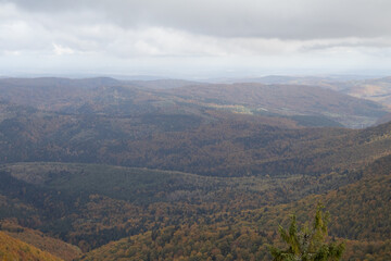 Landscape of Carpathian Mountains, Beskid region. The Carpathian Mountains are covered with mixed forest in the evening light. Wonderful Carpathian Mountains, view of Skole Beskydy National Park