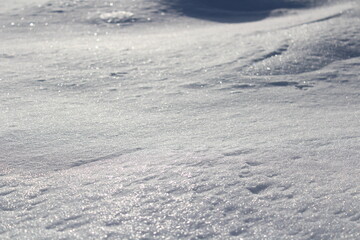 Fototapeta premium Texture of winter snow, snow shines in the sun 