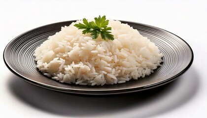 arroz en un plato oscuro sobre fondo blanco
