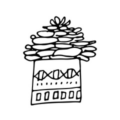 Home flowers in pot drawing with line-art on white backgrounds.