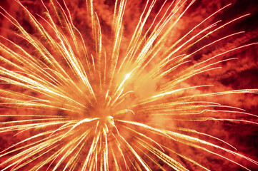 close-up firework in the night of the 4th of july