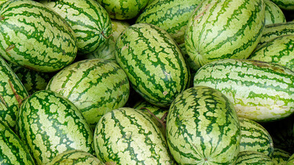 fresh water melon from a local farmes market