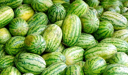 fresh water melon from a local farmes market