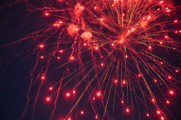 close-up firework in the night of the 4th of july
