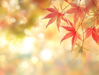 web banner design for autumn season