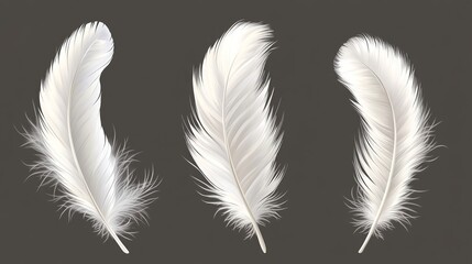 Obraz premium Realistic vector illustration of white bird feathers with elegant quills. Lightweight and fluffy plumage elements isolated on a transparent background.
