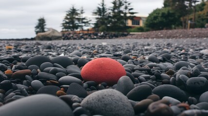 Stone-covered beach with red stone as focal point, overcast sky