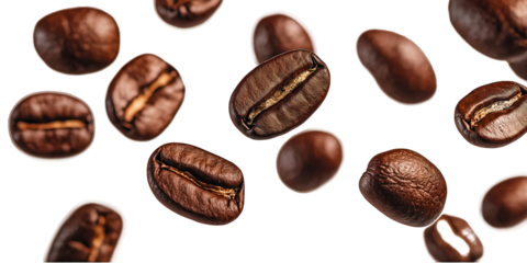 Dark brown coffee bean isolated on light gray background. Single bean with smooth surface and slight curve. Rich earthy color stands out against neutral backdrop. Transparent alpha mask.