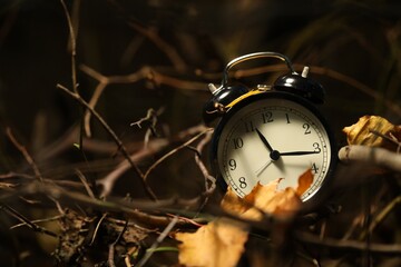 Alarm clock on dry branches outdoors, closeup. Space for text