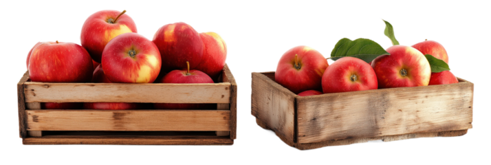 Two wooden crates filled with vibrant red apples, neatly arranged, on top, others in bottom. Wooden box, red, healthy, ripe, organic, fresh, food, fruit, basket, autumn, harvest, colours, isolated,