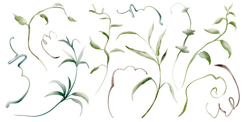 Watercolor clip art twigs leaves, green liana on isolated background. Hand drawn set botanical silhouettes herb. Elements Herbarium wild vine for icon or logo and stickers. © Elena