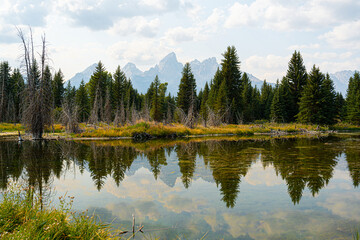 Fototapeta premium Grand Teton National Park